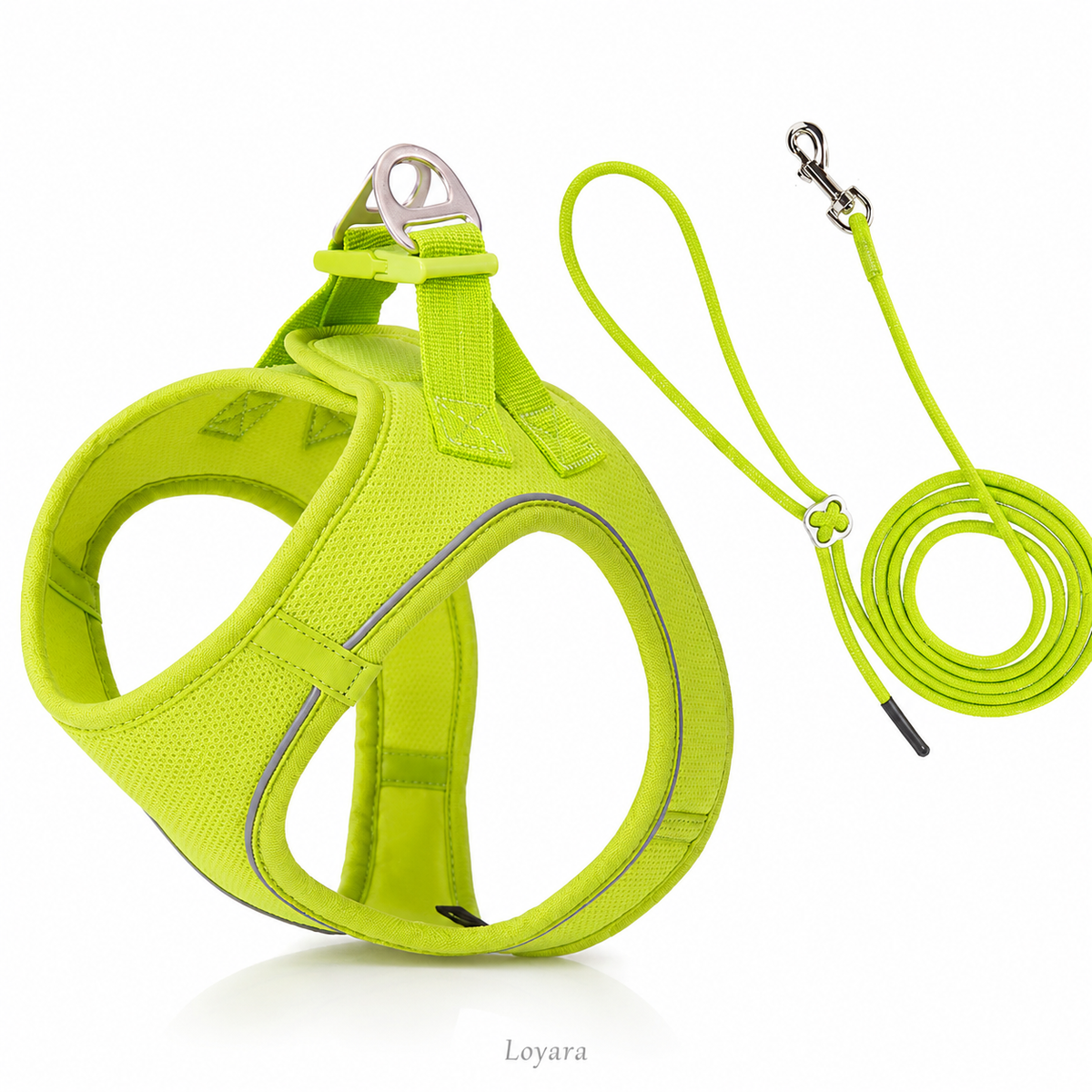 Harnais et Laisse pour Chien — Confort & Élégance